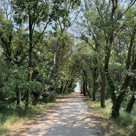 By Interhome Nyaraló Casal Borsetti